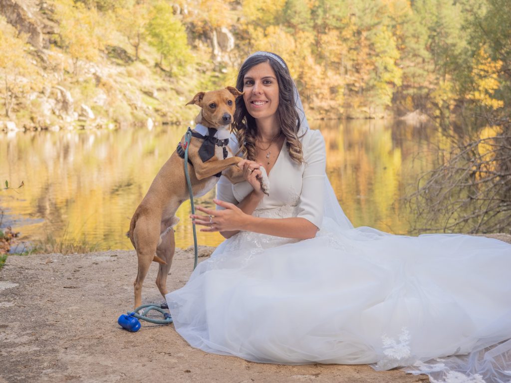 Reportaje de boda en la Sierra de Guadarrama Bosque Filandes de rascafria